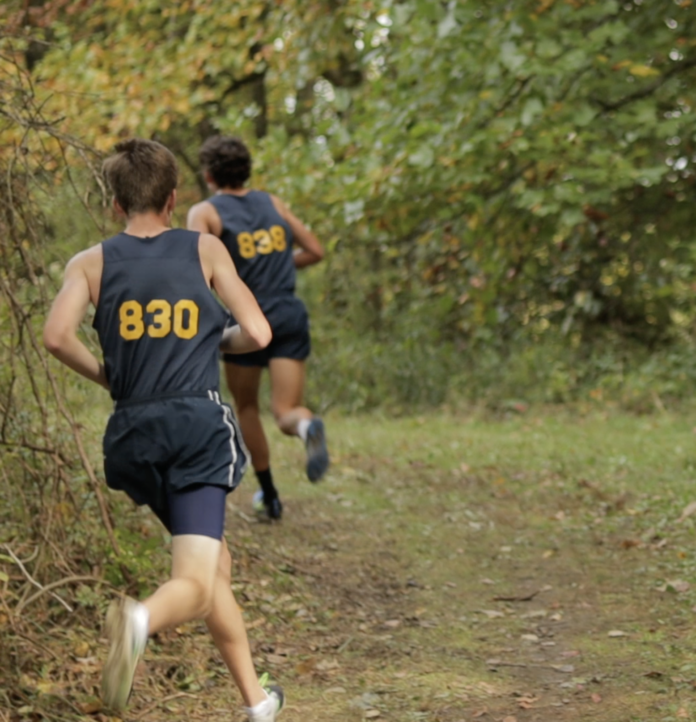 Runner in forest