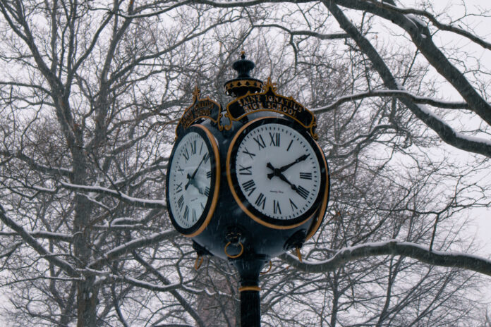 clock, clock in trees, clock tower,